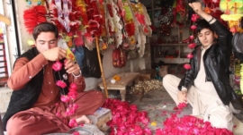 Climate Challenges and Waning Interest in Peshawar's Blossoming Traditions